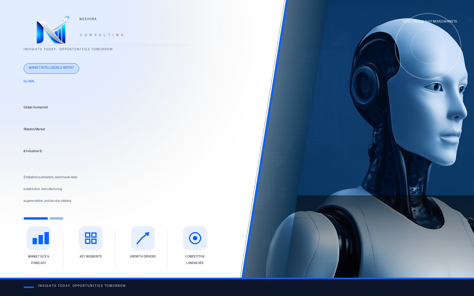 Global Humanoid Robotics Market — Industrial & Service Automation Intelligence Report