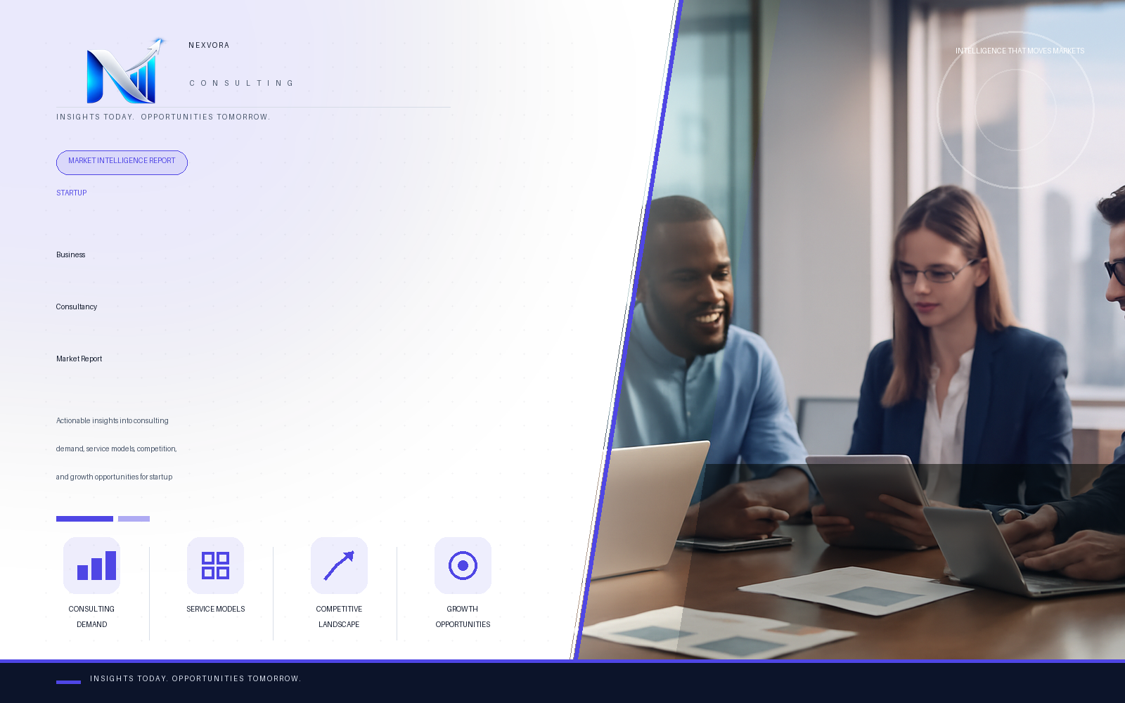 Startup Business Consultancy Market Report