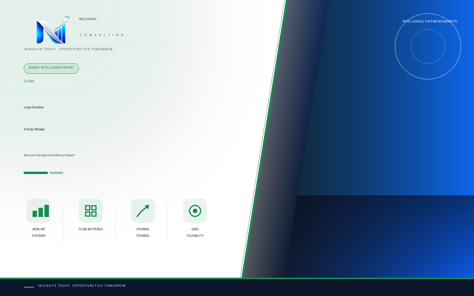 Global Long-Duration Energy Storage: Iron-Air, Flow Batteries & Thermal Storage Market — Intelligence Report