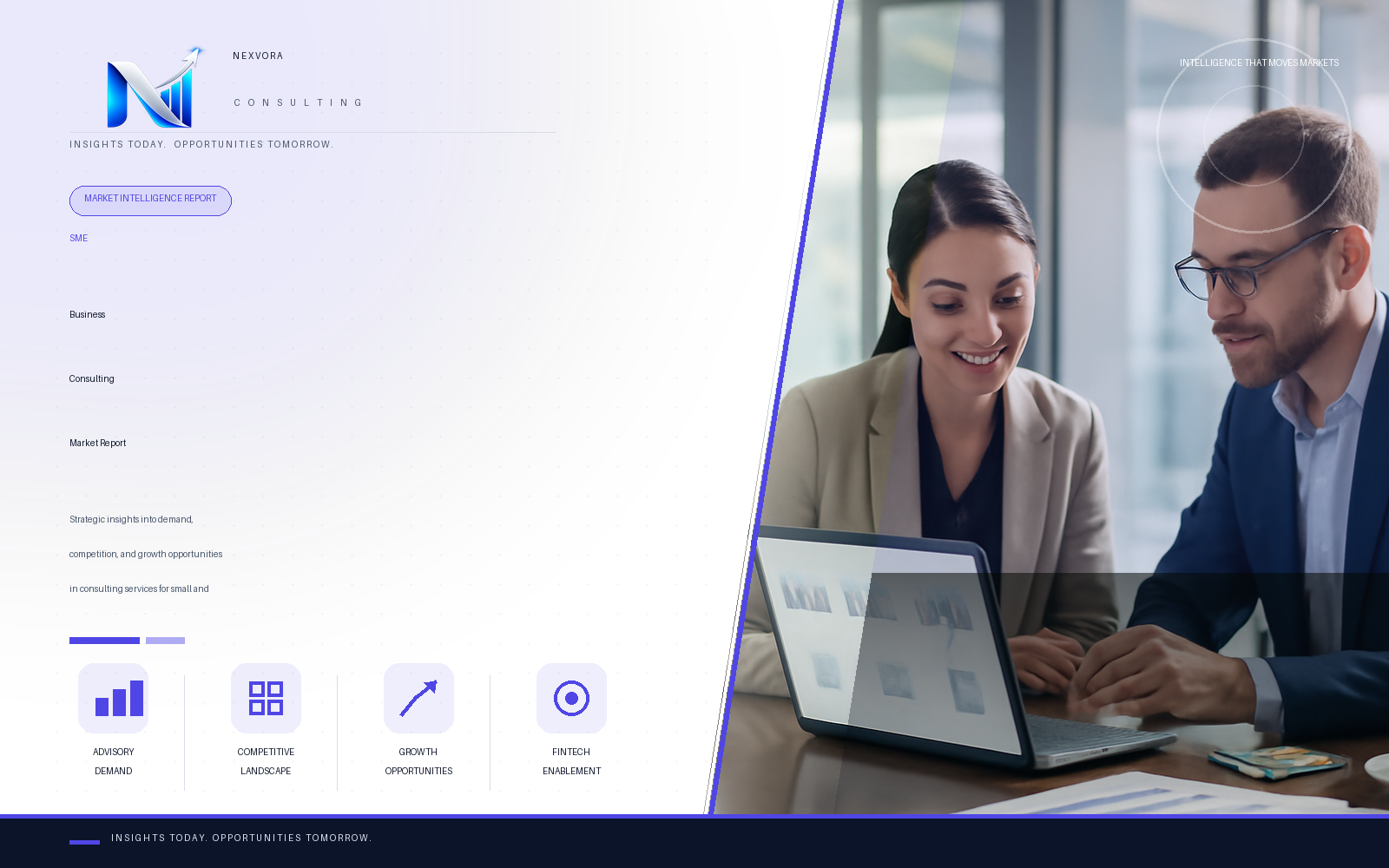SME Business Consulting Market Report